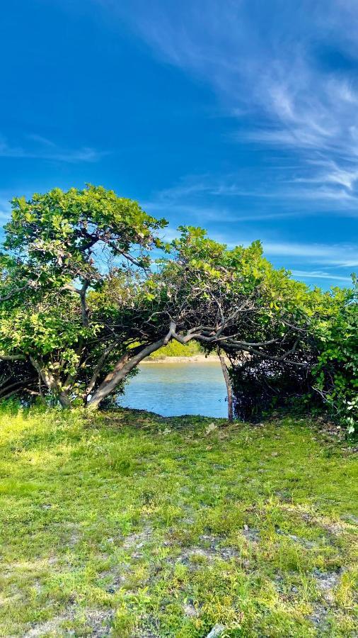 Morada Venturi Villa Atins Bagian luar foto
